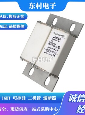 全新熔断器170M1832 170M1833 170M1842 170M1843现货