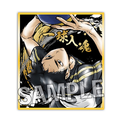 PROOF 排球少年 激斗色纸