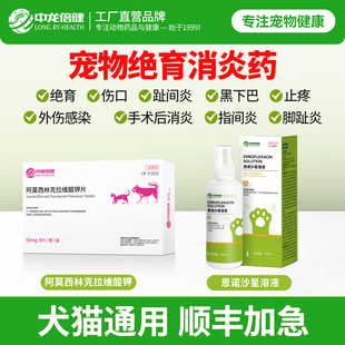 宠物猫咪绝育术后消炎外伤止疼伤口流脓感染狗狗脚趾间炎指尖炎
