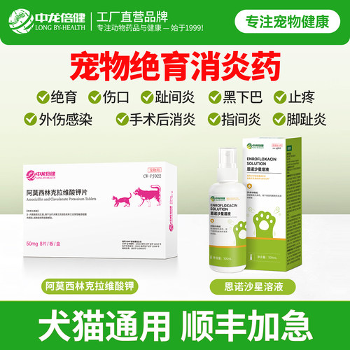 宠物狗猫绝育伤口感染