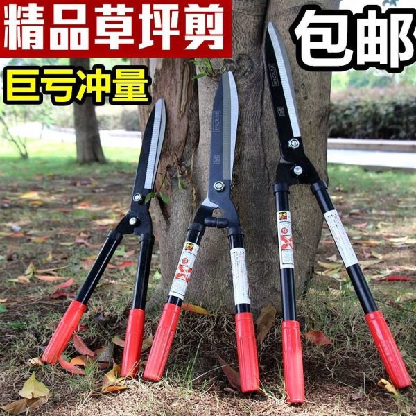 粗草皮盆栽园艺特大篱修苗圃剃型树葡萄树造茶叶剪刀枝茶大剪刀树