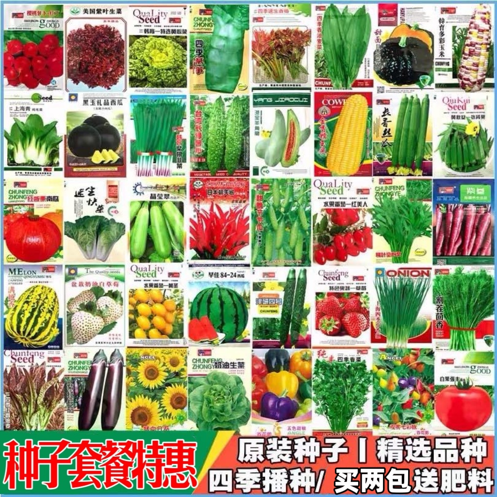 菜种蔬籽瓜果子孑香小葱植套