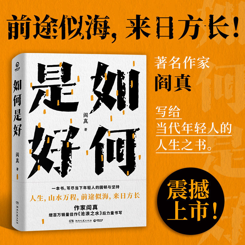 如何是好阎真沧浪之水后全新力作新书作品集现当代文学小说畅销书籍
