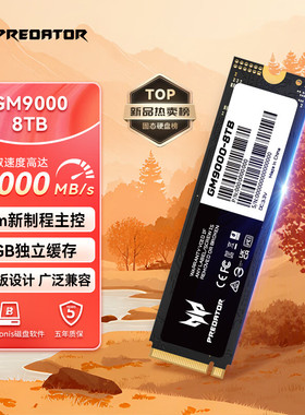 宏碁掠夺者【8TB】SSD固态硬盘 M.2(NVMe协议) GM9000 PCIe5.0