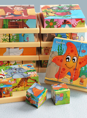 九粒六面画3D立体拼图益智力幼儿园儿童拼装翻转积木质玩具CPC CE