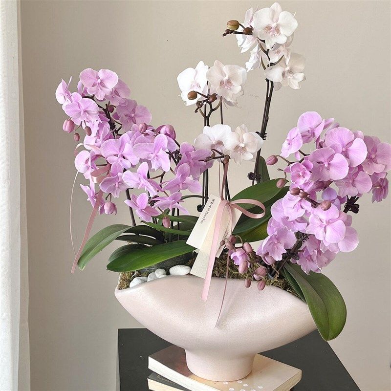 简约现代中古陶瓷带脚创意年宵花花盆家居样板间售楼处餐桌花器,鲜花速递/花卉仿真/绿植园艺,花盆,淘宝优惠券,粉丝福利购,淘宝优惠卷