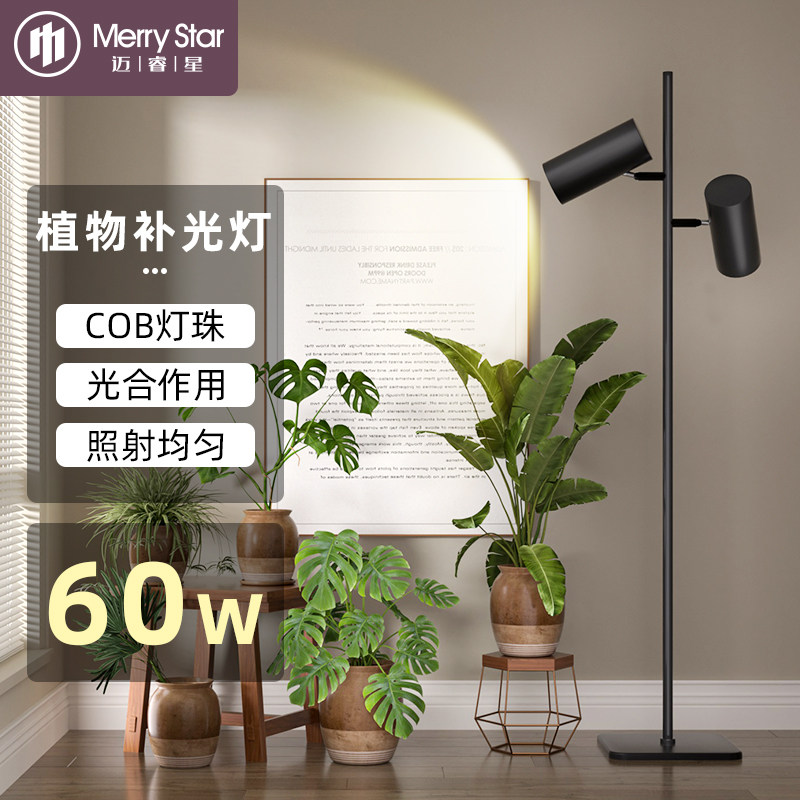 迈睿星落地植物灯生长灯上色全光谱室内热植绿植阳光多肉补光灯