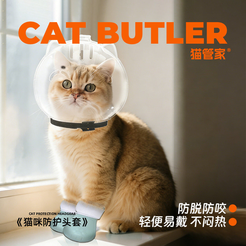 猫管家 猫咪防脱剪指甲防咬头套伊丽莎白圈绝育防舔脖圈防护用品