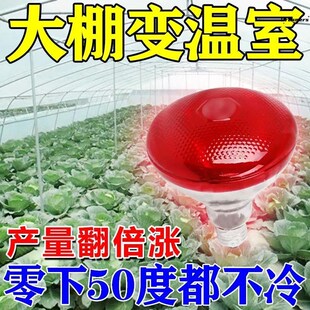 大棚升温灯植物防寒防冻蔬菜火龙果草莓花卉仿R太阳光增温取暖厂