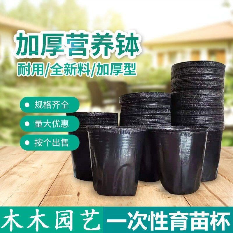 营养钵育苗杯花盆种植盆塑料园艺花卉种子苗木育苗袋Y杯扦插一次