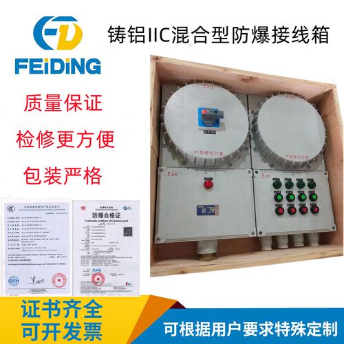CT6/CTg4防爆配电箱接线控制按钮照明插销防爆箱防爆柜