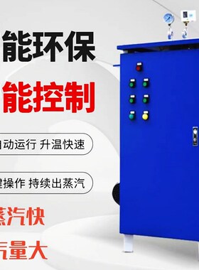 桥梁蒸汽养护发生器电动柴油可选预制箱梁冬Q季蒸汽加热加温设备
