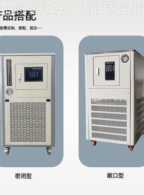 低温恒L温冷却DLSB-10L循环泵5010密0L却实验室闭-0°-40°低温冷