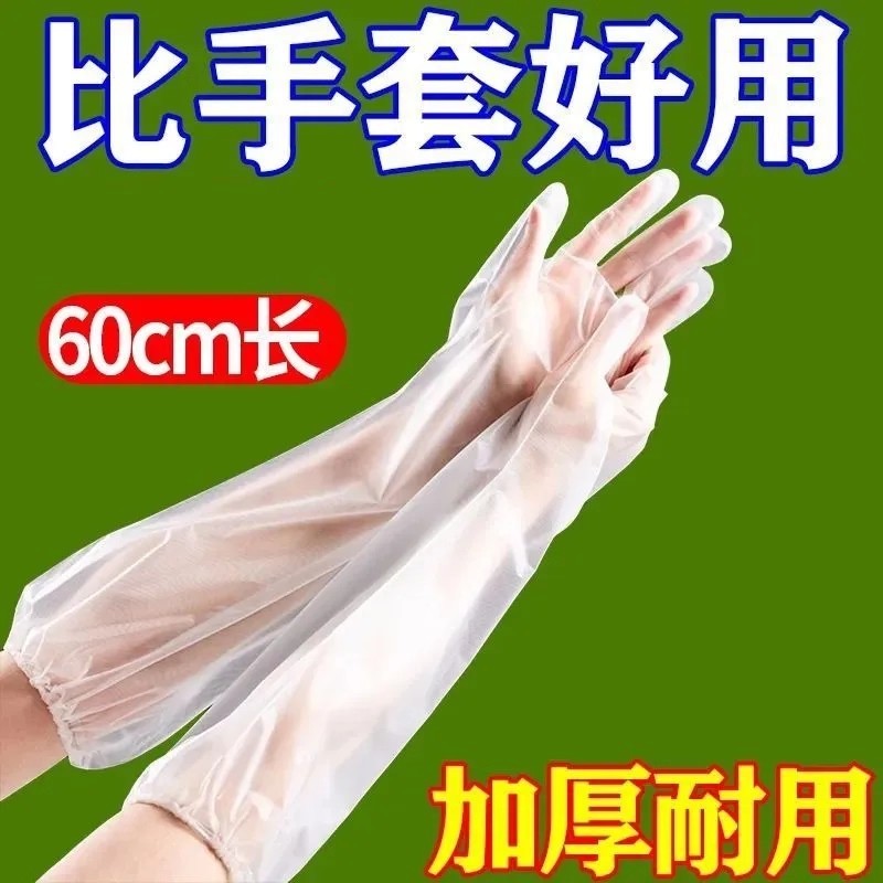 一次性加厚耐磨手套束口加长版洗碗厨房耐用贴手防水家务防护手套
