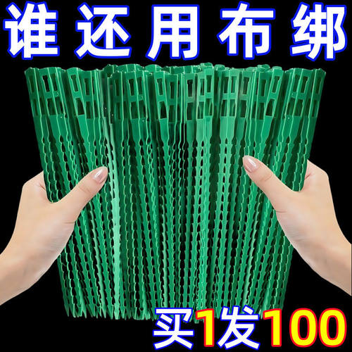 可调节鱼骨扎带捆绑线多用途园林绑树藤蔓植物固定园艺可拆卸扎线