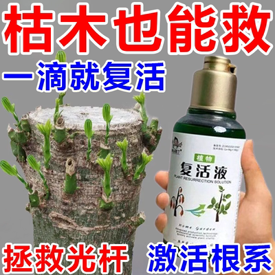 【植物生根壮苗】复活液花卉针对植物光杆发黄掉叶生长快速活性
