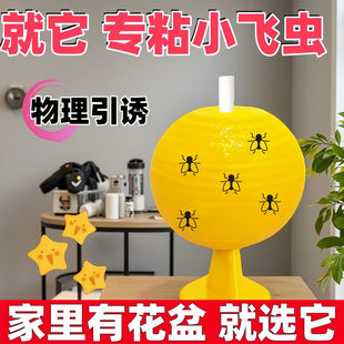 物理引诱粘蝇纸家用灭蚊蝇神器黄色粘虫板物理捕虫器环保捕虫神器