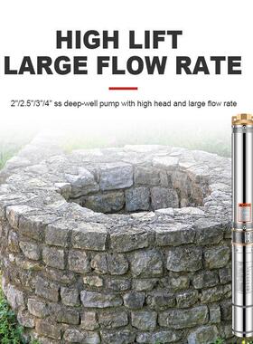 H不锈钢深井泵2.5