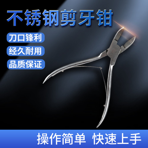 倍弗农不锈钢剪牙钳o猪用器械兔仔猪剪齿钳断牙钳猪场养猪设备器