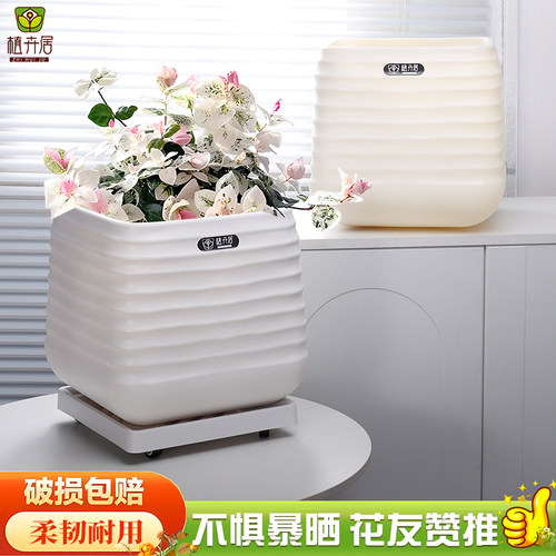 现代简约客厅塑料花盆