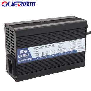 电动两轮车12.6V5A6A8A10A充电器 11.6V12V锂电池 充满自停用于3S