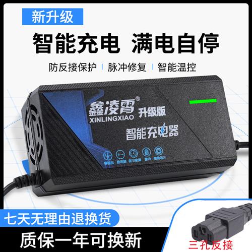 适用绿源电动车电瓶反接充电器36V20E48V20E60V72V80V96V12AH20AH