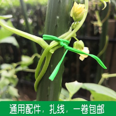 园艺扎线带切割器包塑扎线电线捆绑扎丝园艺diNy扎带铁丝50米20米