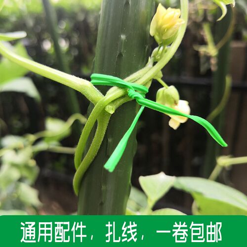 园艺扎线带切割器包塑扎线电线捆绑扎丝园艺diNy扎带铁丝50米20米