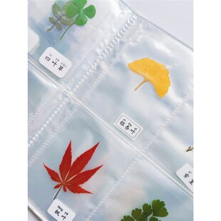 植物标本收集册叶脉书签树叶标本收集袋儿童手工自制干花标本相册