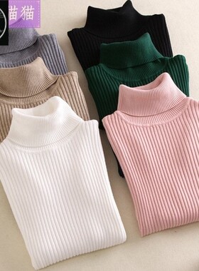 Women Sweaters Winter Autumn Turtleneck Sweater Elastic 高领