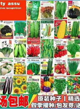 Four Sesons Pot Plnting of Vrious Vegetble Seeds