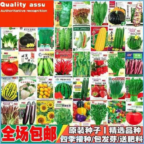 Four Sesons Pot Plnting of Vrious Vegetble Seeds