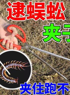 抓蜈蚣工具夹蜈蚣夹子神器户外用的夹子不锈钢铁夹逮捕捉蜈蚣工具