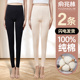 女士纯棉薄款 线裤 保暖裤 俞兆林秋裤 修身 打底内穿春秋全棉毛裤 衬裤