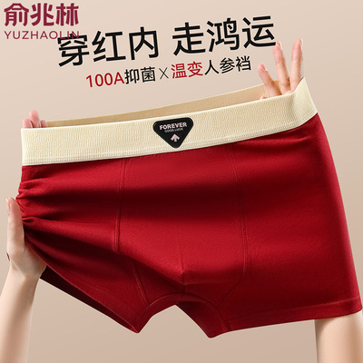 俞兆林纯棉抑菌大码宽松平角内裤