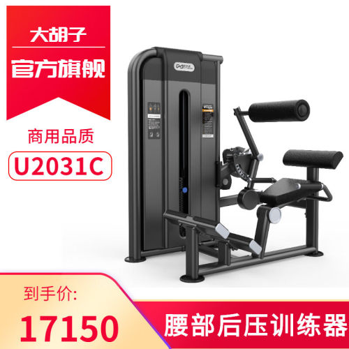 DHZ大胡子运动健身器材U2031C 腰部后压训练器专业室内家用商业用