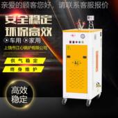 心生全自动电热蒸汽发生电锅炉QF 2kw 12kw小型江器电蒸汽发器