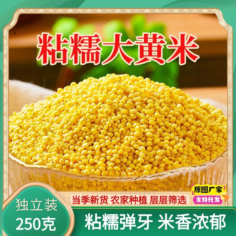 2026新米粘糯大黄米包粽子专用