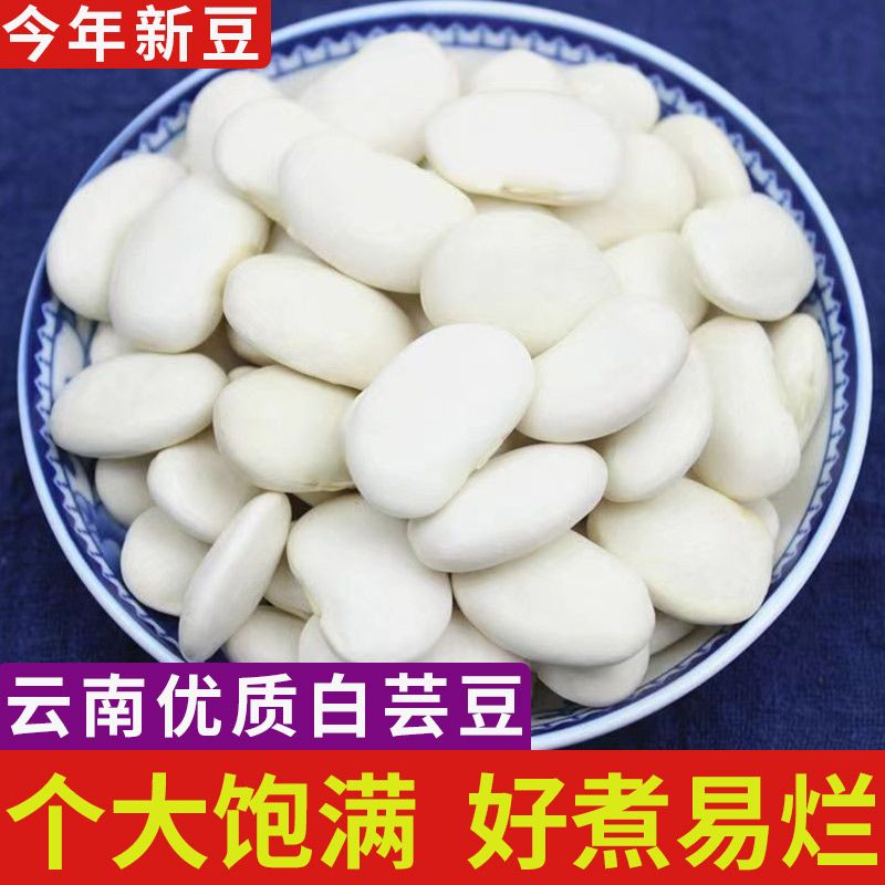 白芸豆干货新货大白豆批发扁豆云豆大豆正宗豆类大全雪豆四川杂粮