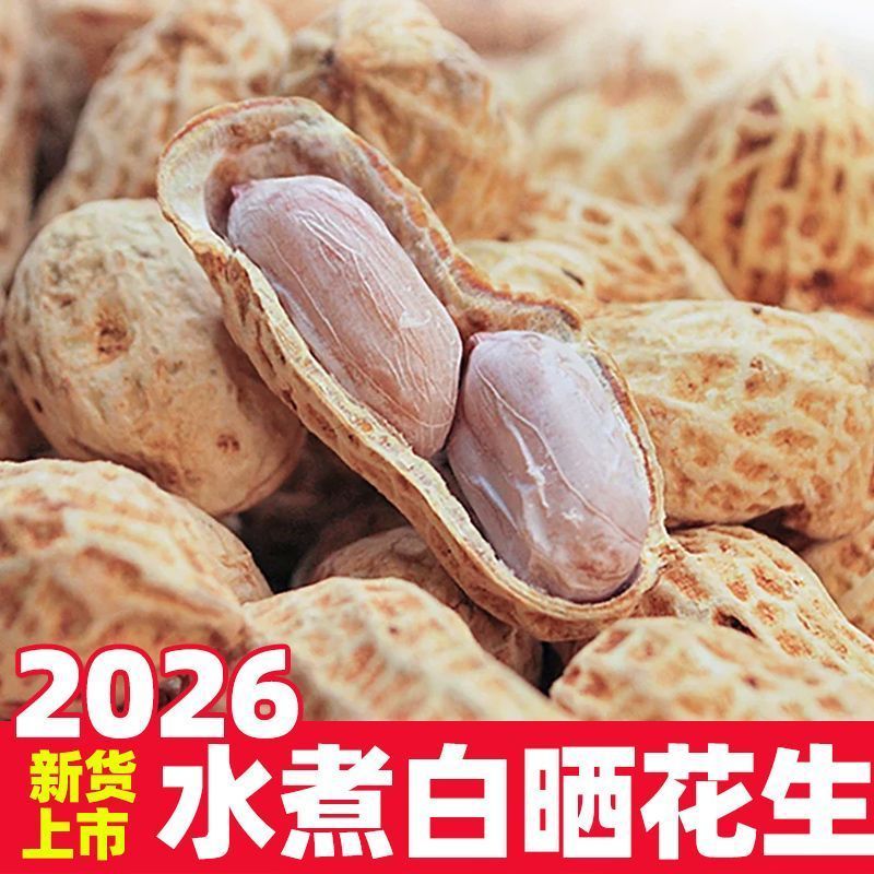 日晒水煮白晒花生咸香干爽果肉饱满农家手工制作好吃不上火花生