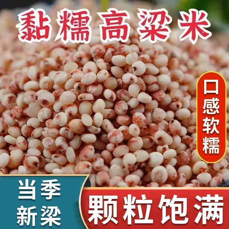 东北黏糯高粱米去皮粽子年糕用