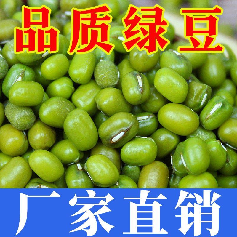 今年新绿豆一斤新货农家优质精选五谷杂粮煮粥易沙新鲜发豆芽豆浆