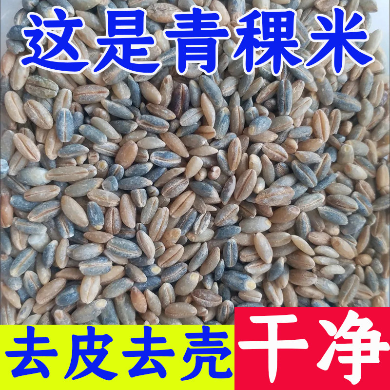 青海黑青稞米新鲜青稞米新米杂粮粗粮煮粥营养饱腹优质谷物批发价