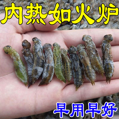 【贴到热肖】去内热成人儿童肝火旺盛阴虚手心脚心发热口干舌燥GH