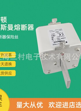 全新原装快速熔断器保险丝170M8618 170M8619 170M8620 170M8621