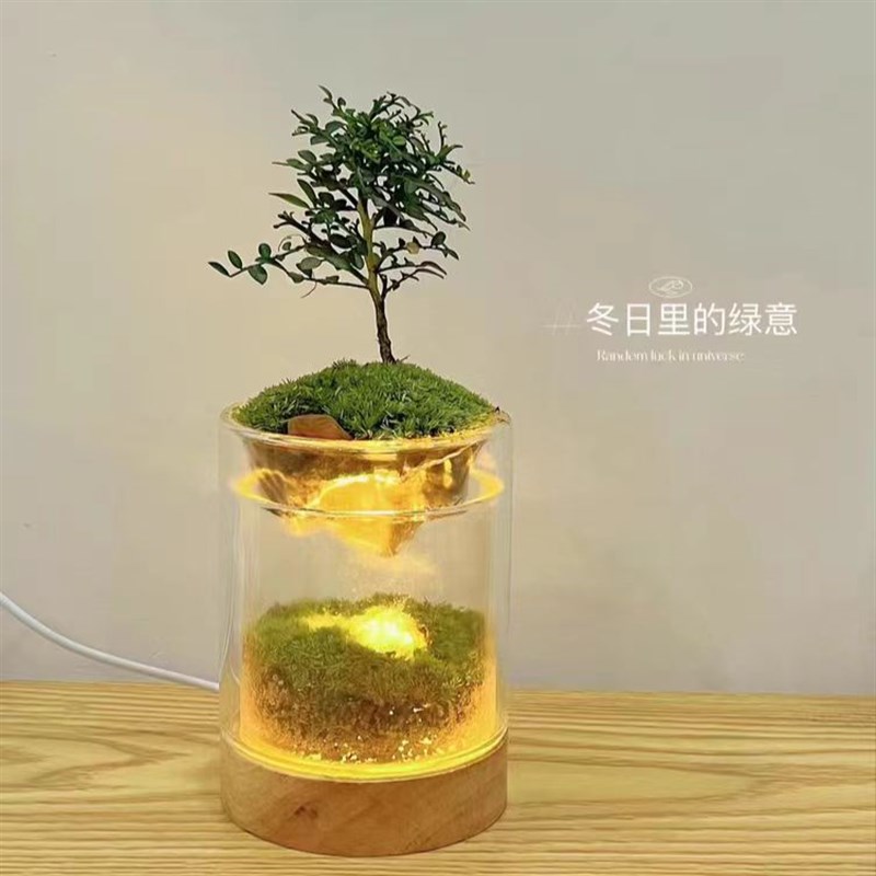 微观苔藓绿植小夜灯摆件送男朋友男生毕业礼物送同学.儿童节礼品