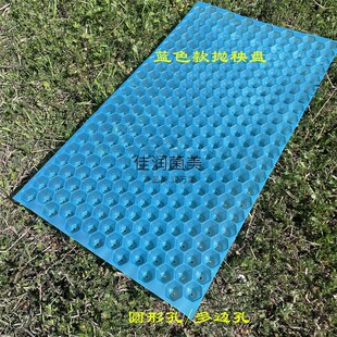 塑料育苗盘353穴盘手抛秧盘水稻盘人工蓝色爆款优质秧苗托盘