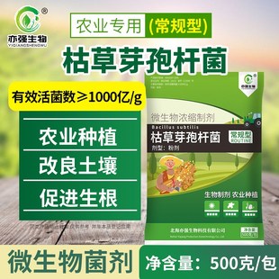 常规型枯草芽孢杆菌降低烂根溃疡稻瘟枯萎根腐青枯黄萎姜瘟等