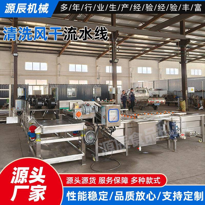 全自动山楂清洗风干生产线西梅干加工设备大枣清洗风干流水线厂家