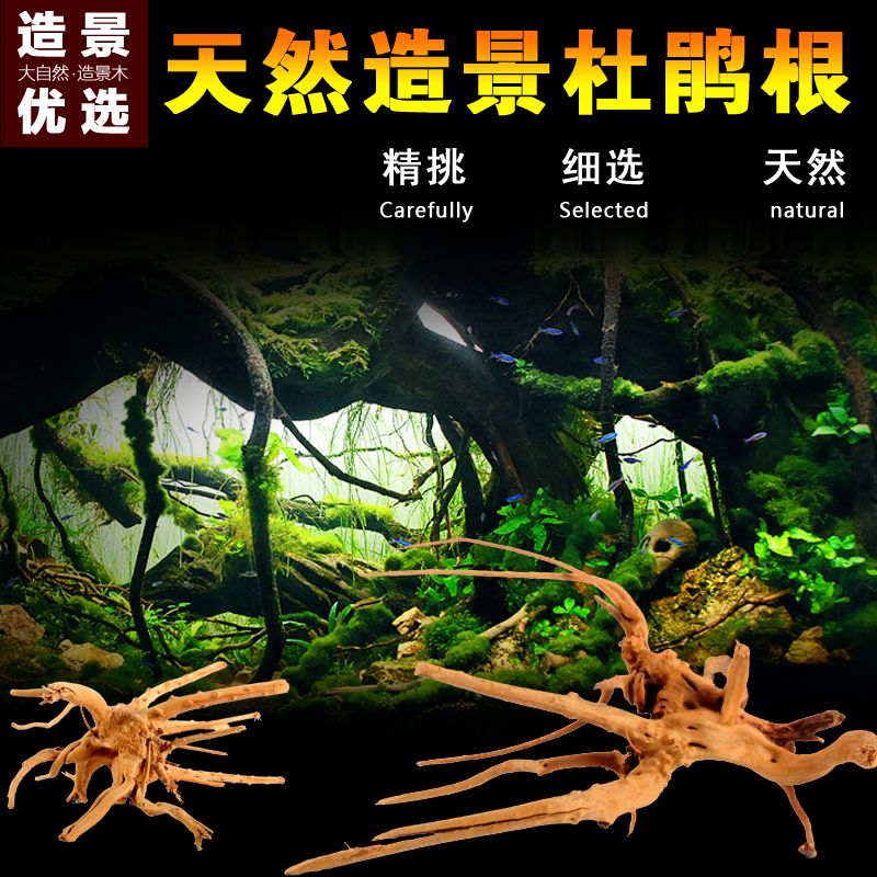 鱼缸水草缸造景妖精森林景观素材莫斯树形纯天然沉木杜鹃根树枝